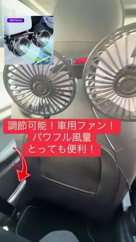 ちーちゃん🎀2匹のわんことハッピー人生のTikTok投稿
