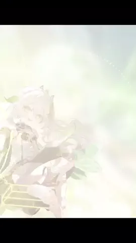 ききのきのTikTok投稿