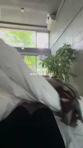 コンクリのGEN🪨のTikTok投稿