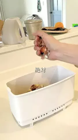 はづき｜自然と動物にやさしい暮らしのTikTok投稿