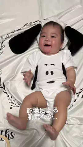にゃんちゃん 𐔌^ ̳> ·̫ < ̳^ 𐦯🎀のTikTok投稿