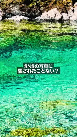 garapagos絶景旅行提案のTikTok投稿