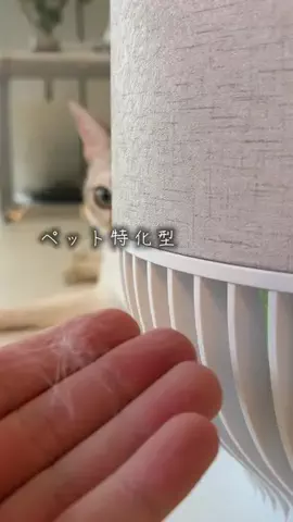 yuu | シンプルで落ち着いた暮らしのTikTok投稿
