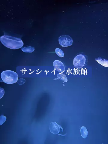 mino | 旅行とホテルのTikTok投稿