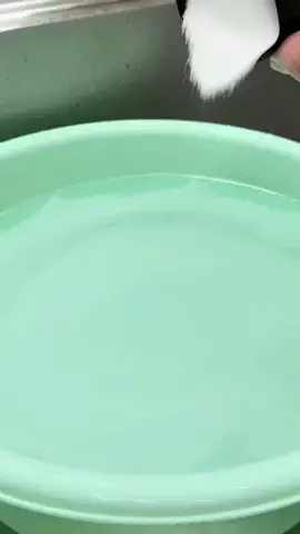 yuu | シンプルで落ち着いた暮らしのTikTok投稿