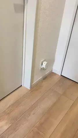 ヤギのあれこれのTikTok投稿