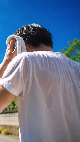 ヤギのあれこれのTikTok投稿