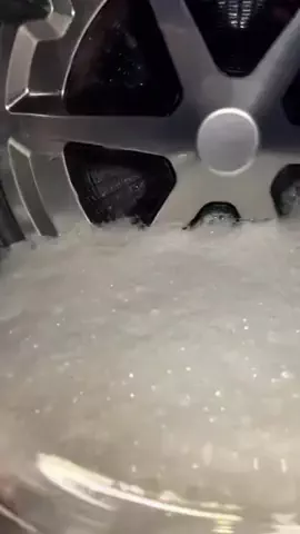 ヤギのあれこれのTikTok投稿