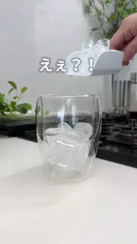 panchan_kurashiのTikTok投稿