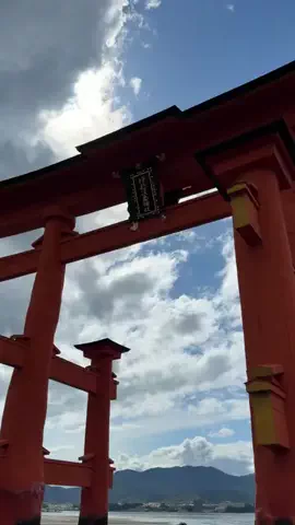 ひろしのTikTok投稿