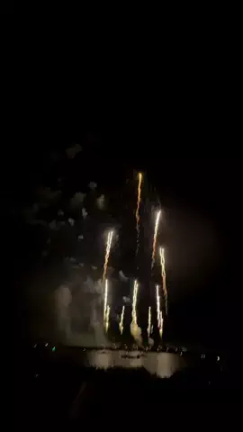🐈‍⬛稀羅🐾のTikTok投稿