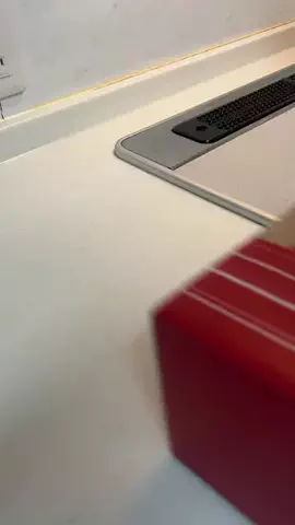 りーさのTikTok投稿