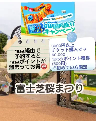 🌿𝙉𝙖𝙢𝙞🍜❤【自粛中】のTikTok投稿
