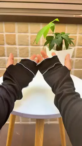 はなのTikTok投稿