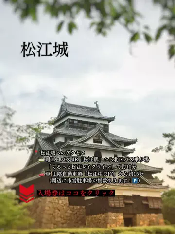 しろさんぽのTikTok投稿