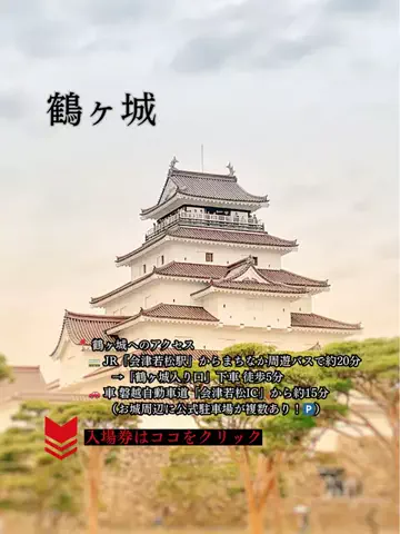 しろさんぽのTikTok投稿