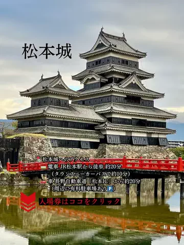 しろさんぽのTikTok投稿