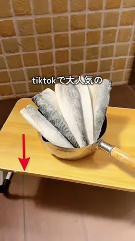 はなのTikTok投稿