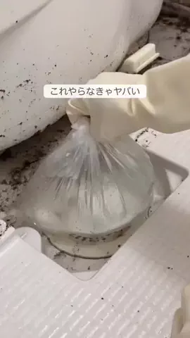 ぴい ┊ ズボラでも続く簡単そうじのTikTok投稿
