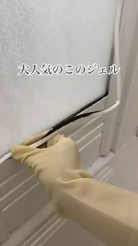 ぴい ┊ ズボラでも続く簡単そうじのTikTok投稿