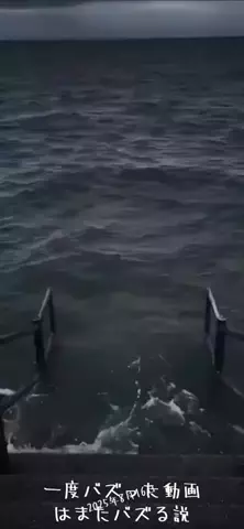 ﾊﾁﾜﾚのTikTok投稿