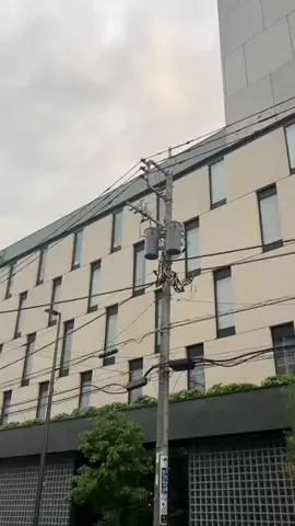 ヴィラ男のTikTok投稿