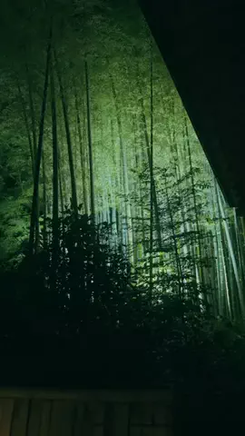 Hirokazu YoshiiのTikTok投稿