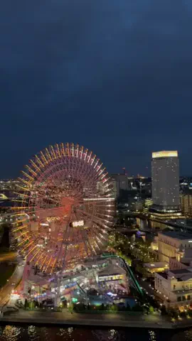 よしたかのTikTok投稿