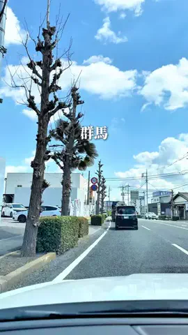 ぐるねこ｜群馬グルメ・おでかけのTikTok投稿