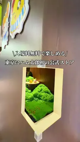映え旅けんと | 東京発の全国おでかけ情報のTikTok投稿