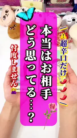 ぱるこ🌹タロット姉さんのTikTok投稿
