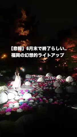 カイセイの九州旅🏃🏻‍♂️👍🏻のTikTok投稿