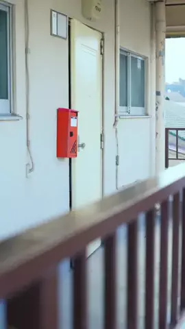 毎日はにかむ僕たちは。のTikTok投稿