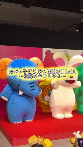 みゆのTikTok投稿
