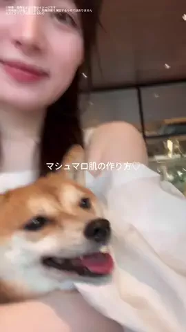 ママポスト＠子育て/出産/育児情報メディアのTikTok投稿