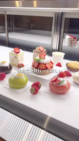食いしん坊大学生【富山おでかけガイド】のTikTok投稿