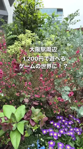 ゆるりこ 関西おでかけのTikTok投稿