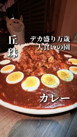 きたごはん🍚札幌グルメ、スポットのTikTok投稿