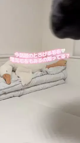 めい/메이のTikTok投稿