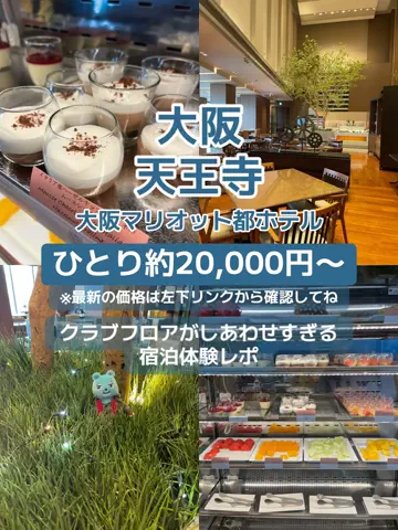 🌺なみひらりさ✈️🗺️｜絶景ホテル×コスパ旅のTikTok投稿