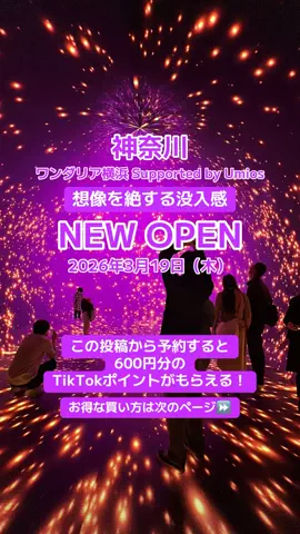 🌺なみひらりさ✈️🗺️｜絶景ホテル×コスパ旅のTikTok投稿