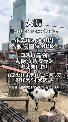 🌺なみひらりさ✈️🗺️｜絶景ホテル×コスパ旅のTikTok投稿