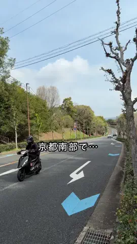 みっけ!やましろのTikTok投稿