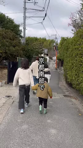 みっけ!やましろのTikTok投稿
