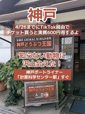 🌺なみひらりさ✈️🗺️｜絶景ホテル×コスパ旅のTikTok投稿