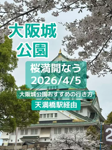 🌺なみひらりさ✈️🗺️｜絶景ホテル×コスパ旅のTikTok投稿