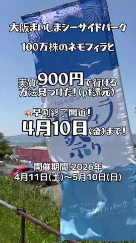 🌺なみひらりさ✈️🗺️｜絶景ホテル×コスパ旅のTikTok投稿