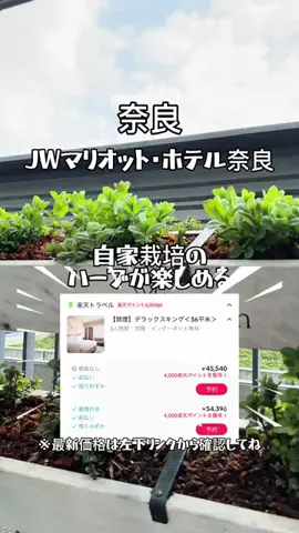 🌺なみひらりさ✈️🗺️｜絶景ホテル×コスパ旅のTikTok投稿
