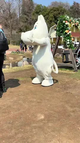 mamuのTikTok投稿