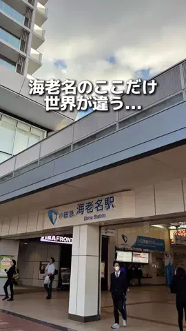 えびなびのTikTok投稿